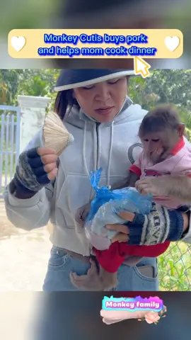Monkey Cutis buys pork and helps mom cook dinner #animal #monkey #pet #cutemonkey #monkeys #babymonkey #pets #newyork 