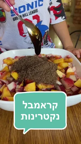 קראמבל נקטרינות ואפרסקים, מתכון לכבוד סבתוש שלי 🩷 2 נקטרינות עצומות 2 אפרסקים  2/3 כוס סוכר חום כהה מעט קינמון כפית תמצית וניל קמצוץ מלח -> חותכים את הפירות לקוביות ומערבבים עם שאר המרכיבים בידיים. משטחים בתבנית עמוקה. מכניסים לתנור על 180 מעלות לכ-15 דקות בזמן שמכינים את הקראמבל: לבצק: 100 גרם מרגרינה שמרית 40 גרם קורנפלור 70 גרם אבקת סוכר 200 גרם קמח  20 גרם קמח שקדים קמצוץ מלח 40 גרם מים /חלב סויה כפית תמצית וניל . בהתחלה מפוררים את המרגרינה בתוך הקמחים - ללא החלב! את החלב הוניל והמלח מוסיפים רק אחרי שהגענו לבצק פירורי לגמרי בלי גושי מרגרינה.  מפזרים את הבצק בגושים קטנים על הפירות האפויים בשכבה אחידה ודקה, לא להעמיס. אופים עוד כ20 דקות על 170 מעלות עד שהבצק זהוב-שחום וחתיך. מגישים חם עם גלידה טעיממה!  . באהבה סבתלולי   . #קראמבל #נקטרינות #גלידה #קיץ #מתכוןקל #מתכוןטבעוני #קינוחטבעוני #פעילותעםהילדים #פירותקיץ #קינוחפירות #שחרקיכלר #הטיפיםשלויוידה 