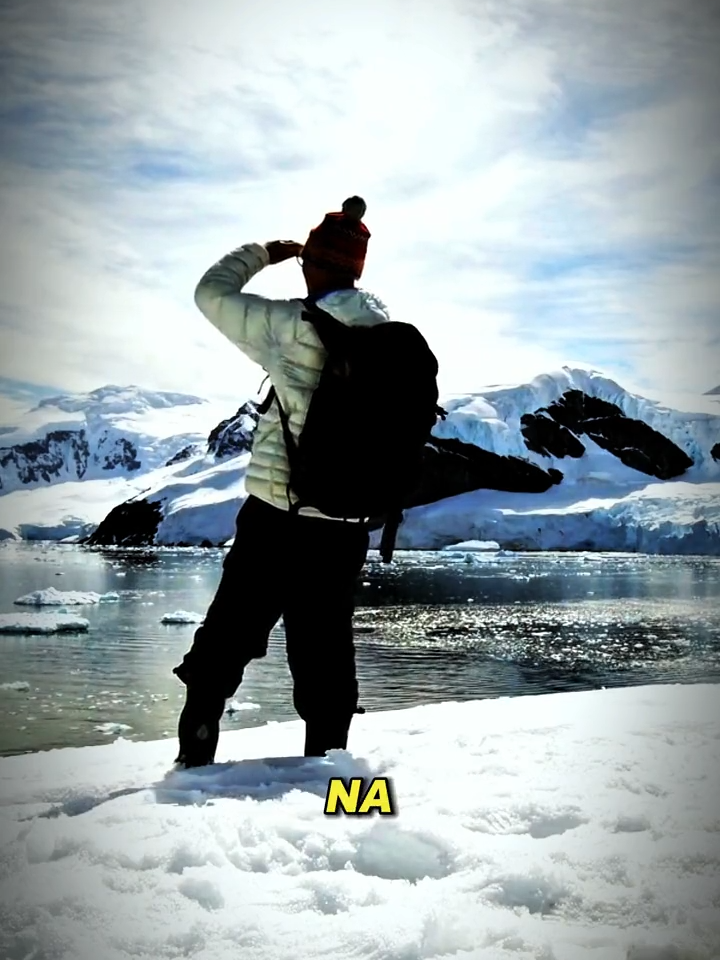 É PROIBIDO IR PARA A ANTÁRTICA ? #sergiosacani #antartica