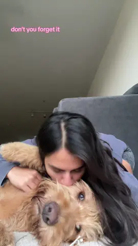 Behind every strong woman there is a strong doggo 🥹 #dogs #strong #motivation #mood #moodboost #dogsoftiktok #labradoodle #foryou #morningcheer #morningvibes #fypage #fortheladies #women #girls @HappythePoodleLab  