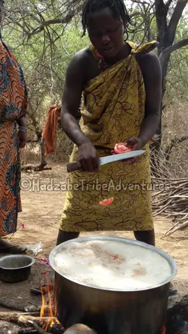 Hadzabe tribe women are in charge of preparing various meals in the bush for the tribe to have something to eat each day #hadzabetribe #hadzabe #africantribes #bushlife