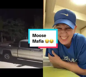 #duet with @Scatman Rod When i tell you I cant breathe 😂😂😂 #kitchenduetswithkim #duetswithkim #moose 