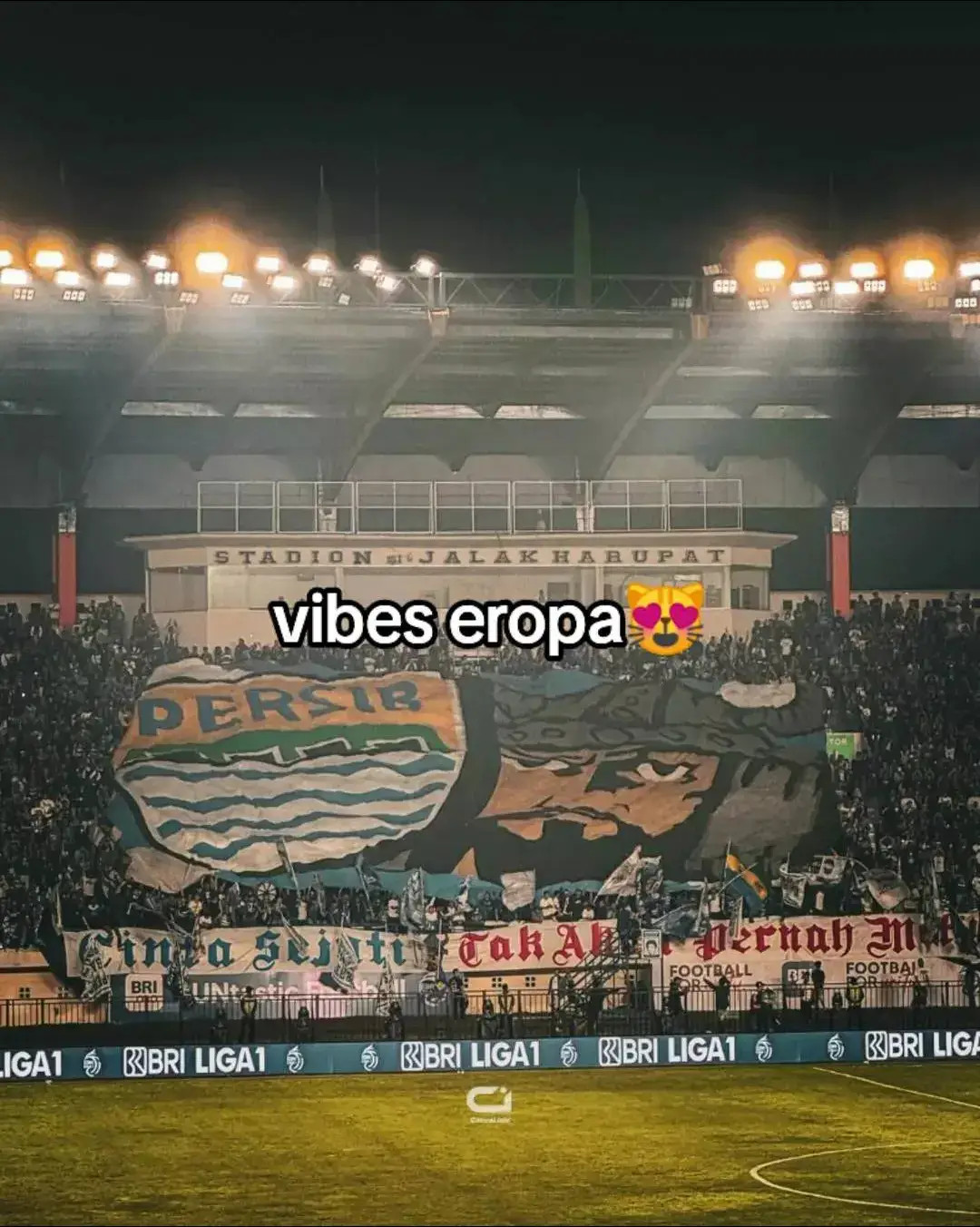 vibes plerija 🤡🗿 #persib #persibbandung #bobotoh #bandung #xyzbca #foryou #fyp 