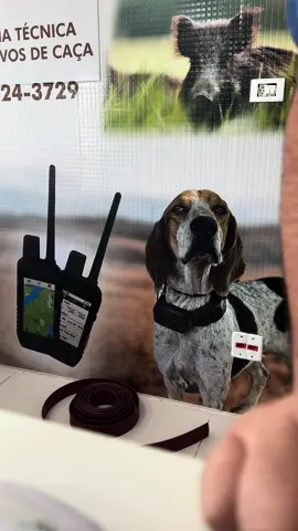Aprenda a conectar uma coleira apos o reparo ou atualizacao! #gps #mapas #satelite #javaporco #cac #garmin #hunting #clubedetiro #caçador #eletronica #gps #aventura 