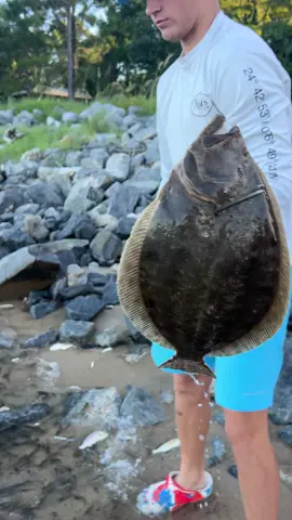 Point Clear, Alabama jubilee. Daytime flounder gigging……Had to hit him again…🐠 🎣 🐟  #mobilebay #summertime #fairhopefishingcompany #pointclearalabama #fairhopealabama #jubilee #flounder #floundergigging 