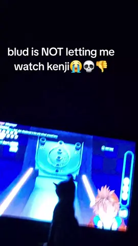 bro is a fan #kenji #cat #fyp #stupidcat #kenjivtuber #rizzler 