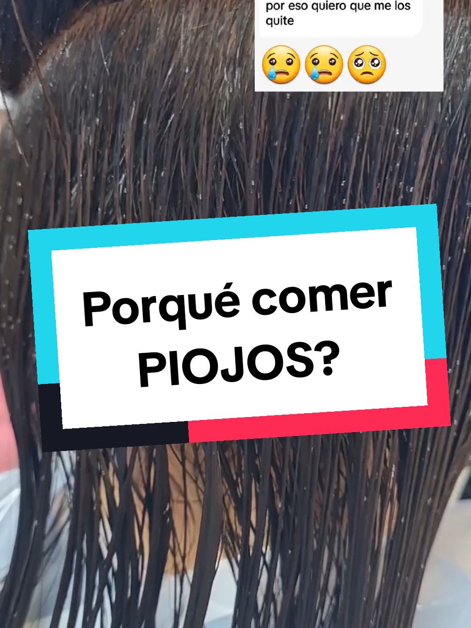 Estas prácticas de comer piojos se dan en comunidades rurales o indígenas y lo hacen por que forman parte de sus costumbres ancestrales. #piojos #piojosyliendres #entomofagia #fypシ゚vir #insectos #pediculosis 