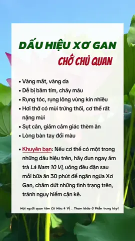 Cảnh báo dấu hiệu xơ gan chớ chủ quan #suckhoechomoinguoi #baithuocdangian #meohaymoingay #lanam10vi 