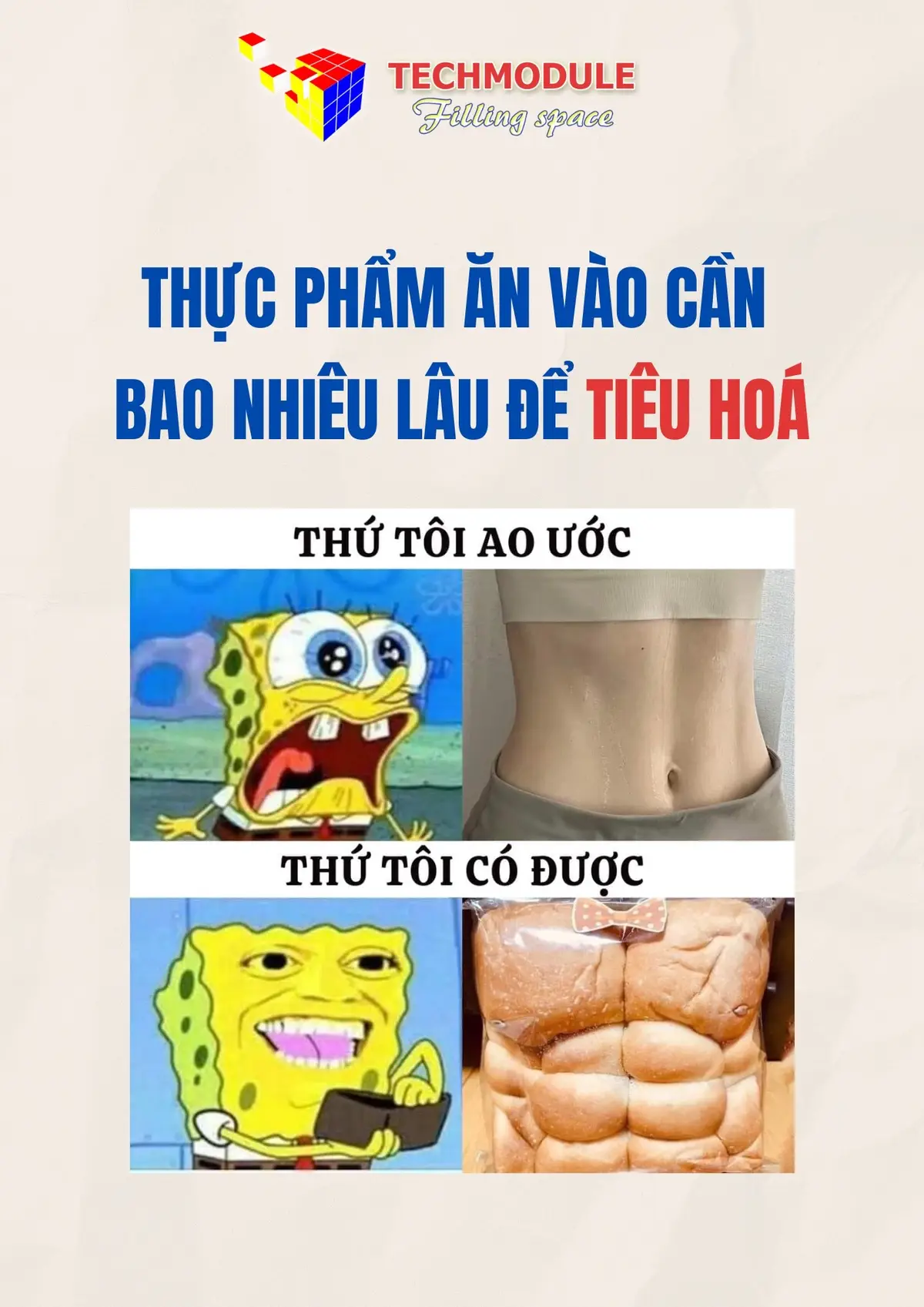 Thế mà nhiều khứa vừa ăn xong đã đi được luôn, tài thật chứ #meovatcuocsong #meovat #meohay #tips #LearnOnTikTok #banbietgichua #cuocsong 