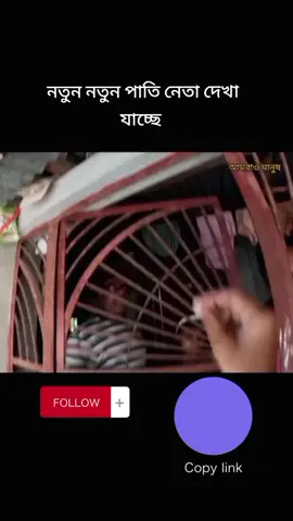 #CapCut #foryoupage #foryou #duet #typ #viralvideo #trending 