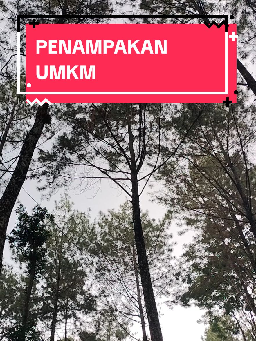 seram tas waish bag#fyp 