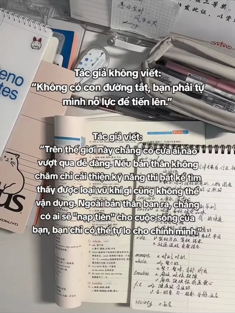 yêu những dòng văn này🥺 #cangloncangtrothanhduatrehieutruyen #studymotivation #motivation #dongluc #phattrienbanthan #BookTok #study #studytok #vrstudio 