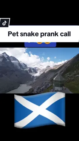 Pet snake prank call  #prank #prankcall #ukcomedy #trolling #windup #scottish #uktiktok #foryou #scottishhumour #ukfunny 