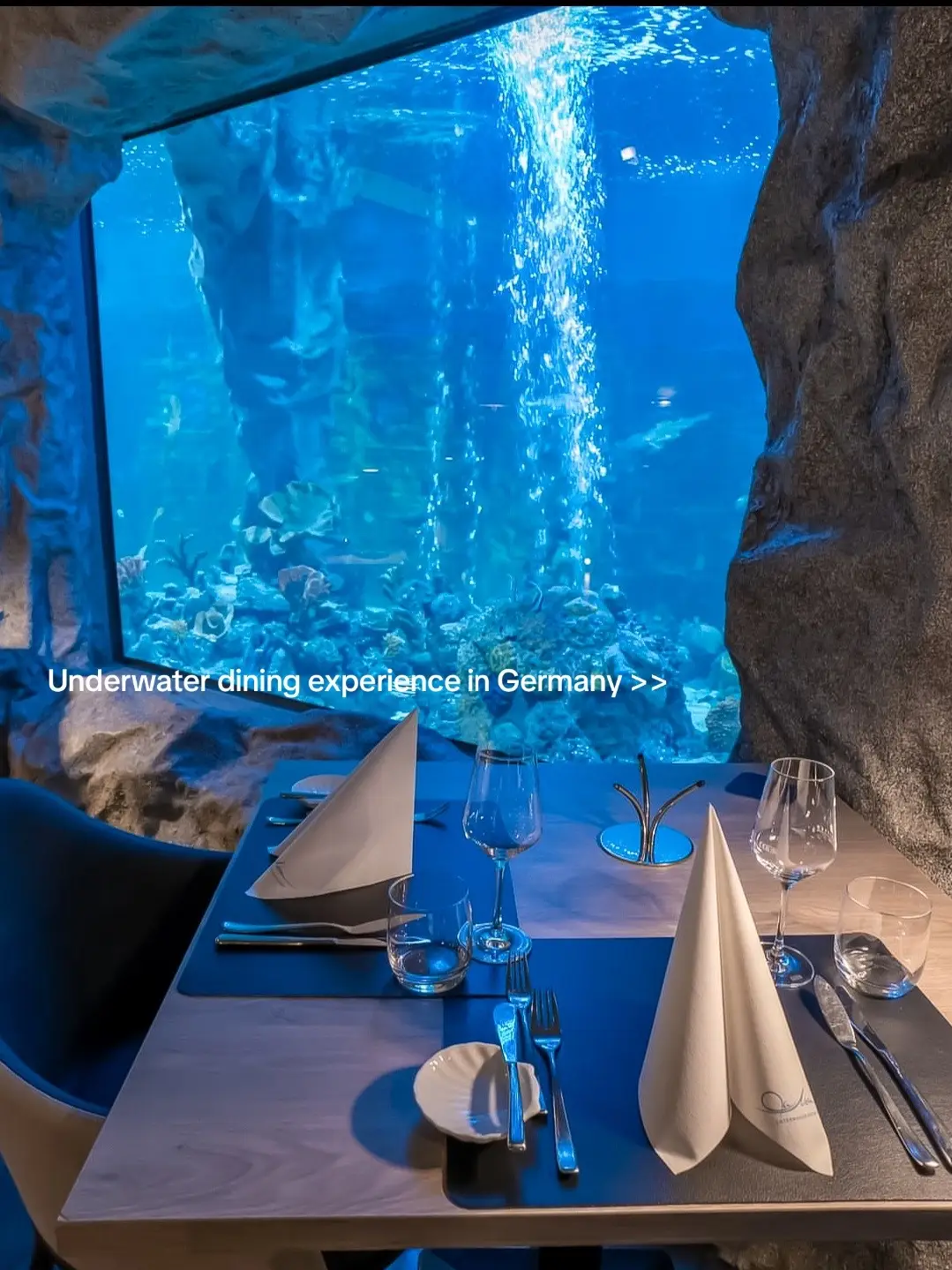 #LaMer #restaurant #germany #underwaterrestaurant #fyp #viral #kulinarisch 