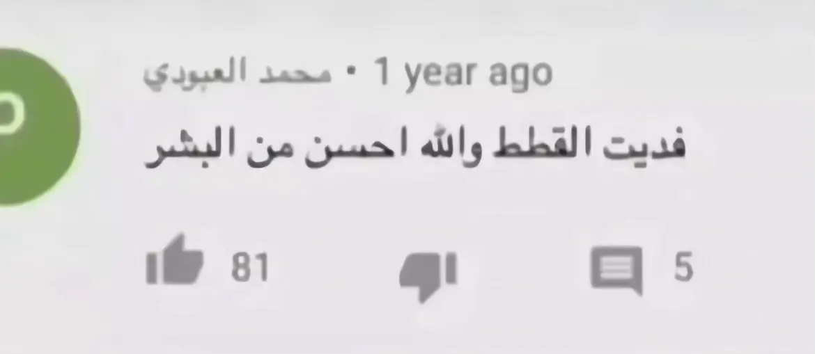 #🐈 #🐈‍⬛ #اكسبلور #الشعب_الصيني_ماله_حل😂😂 