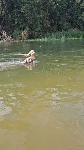 #swimming #walkingthedog #earlywalks #rivernene 