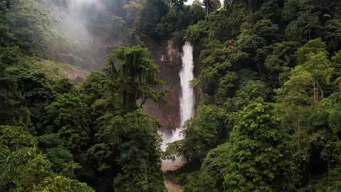 The enchanting waterfalls of Lake Sebu: Hikong Bente & Hikong Alu. #philippines🇵🇭🇵🇭🇵🇭 #philippinestiktok #dji #aerials #dronevideo #drone #lakesebu7waterfalls #lakesebu #southcotabato #soccsargen #landscspephotography 