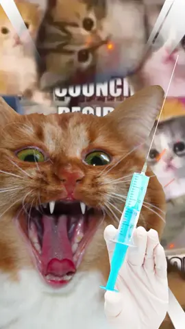 The council has decided • #voiceactor #voiceacting #voiceover #voiceartist #catsoftiktok #catmemes #weirdcats #comicdub #memedub #catvoice #purr #truecrime #truecrimememes #judgement 