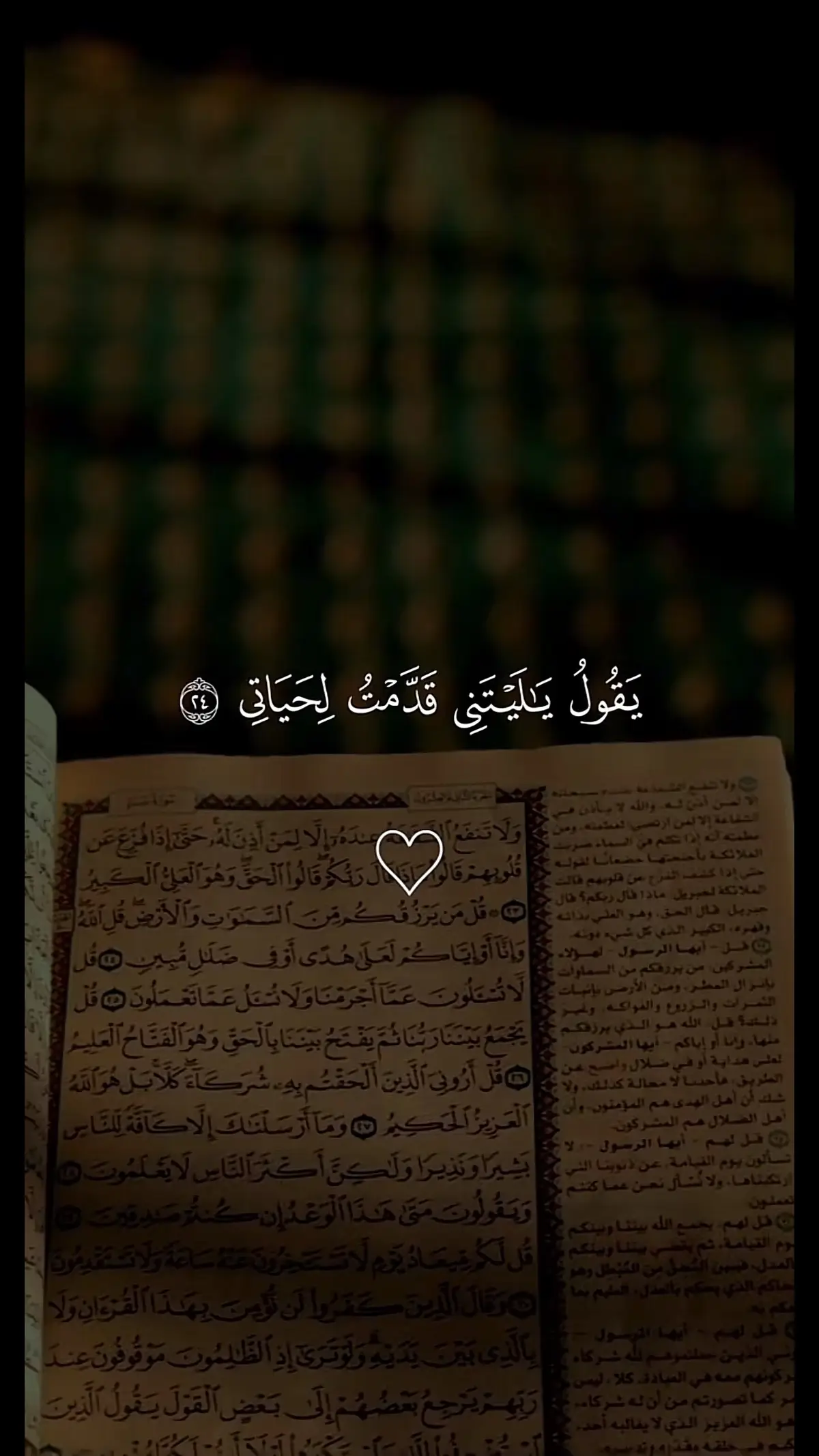 يقول ياليتني قدمت لحياتي #بسم_الله_الرحمن_الرحيم #قران_كريم #اكتب_شيء_تؤجر_عليه🌿🕊 #القران_الكريم #قران 