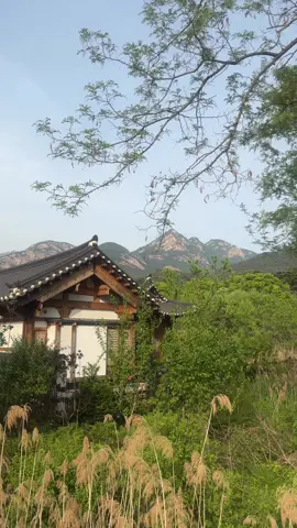 Eunpyeong Hanok Village 🇰🇷 #couple #vacation #seoul #summervibes #travel #interracialcouple #tiktok #viralvideo #fyp #hanokvillage #beautifuldestinations 