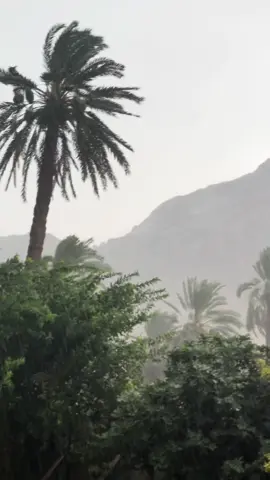 امطار اليوم الاحد ١١ اغسطس ٢٠٢٤ ، ماشاء الله 🌨️🌧️. #نجران #najran_saudia🇸🇦🇸🇦 #explore   #اكسبلور #عدستي📸 