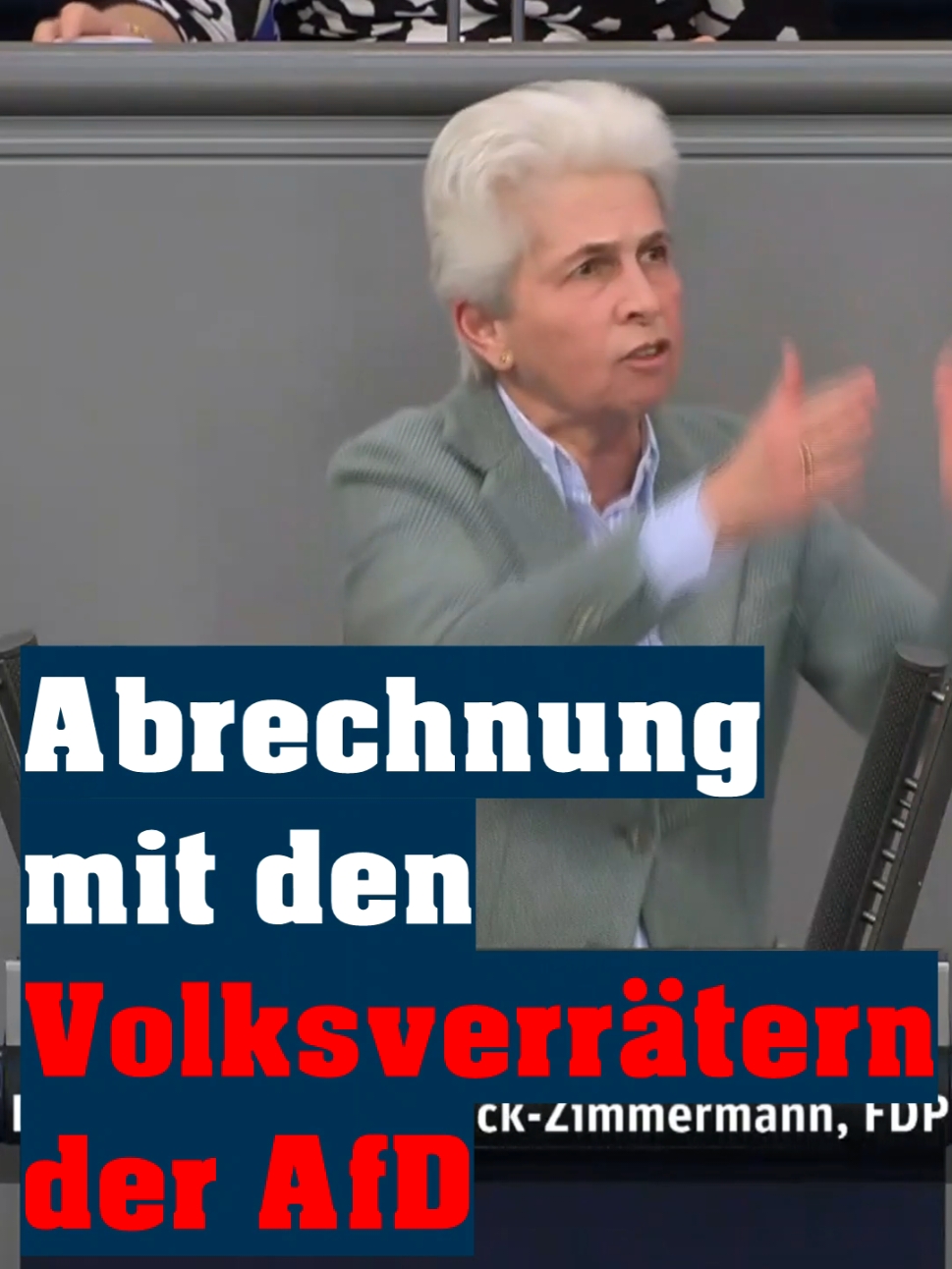 Großartige Abrechnung mit der AfD 💪#noafd🇩🇪 #noafd #afdverbotjetzt #afdverbot 