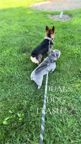 You can’t convince me otherwise….this is STILL the best leash I’ve ever bought for my dogs 🐶🐾 #dogmom #dualdogleash #twodogs #frenchbulldog #corgi #deals #flashsale #tiktokshopbacktoschool #outdoorsygals 