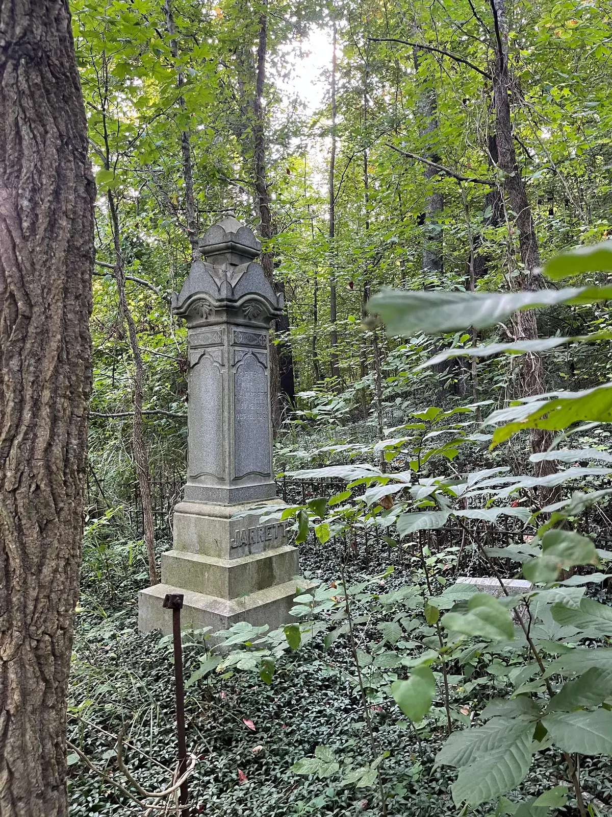 Abandoned grave, gonna visit earlier in the day for better pictures of the gravestones eventually.. || #verapilled #looksmax #graveyard 