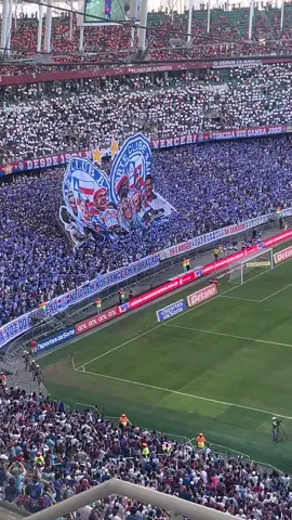 Que torcida Linda 🔴⚪️🔵 . . . #Bahia #Bamor #bahiacity  #Bahêa #futebol #copadobrasil #Brasileirao #ecbahia 