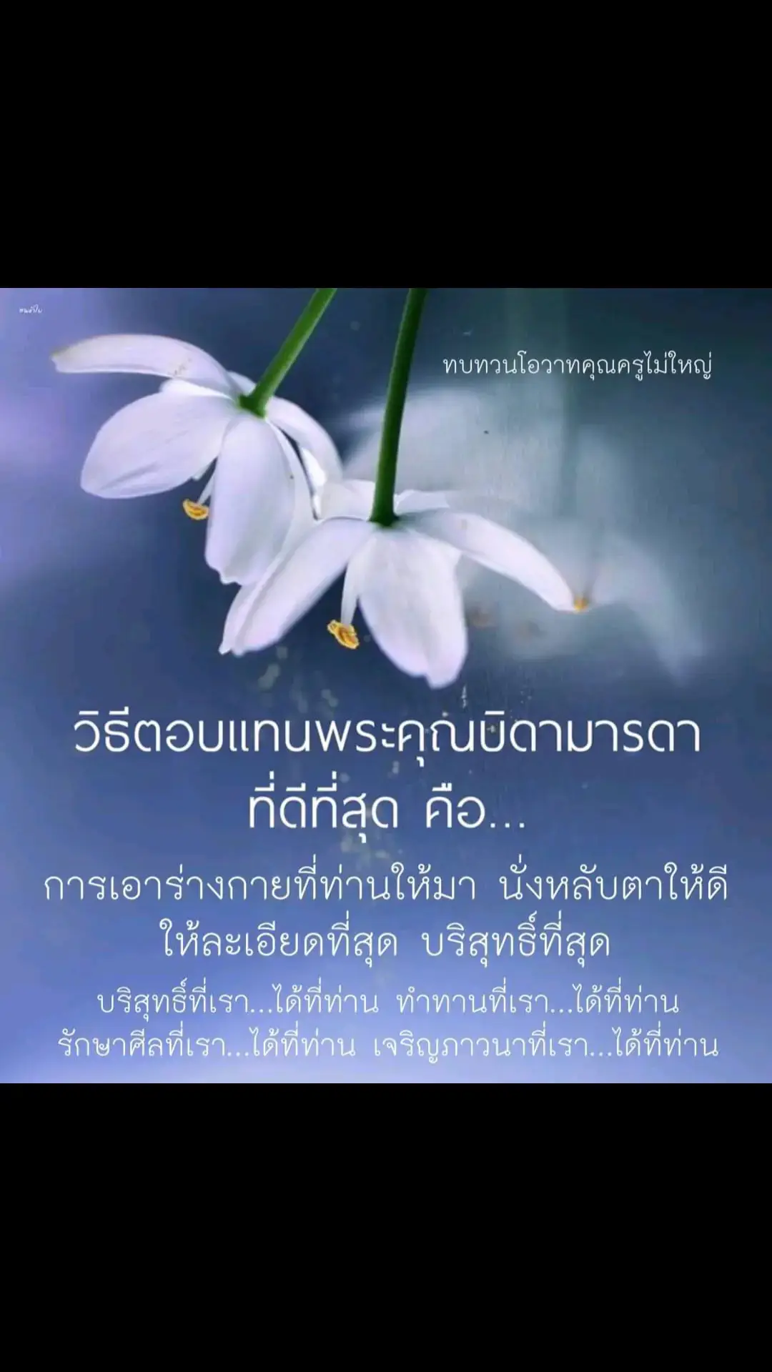 วิธีที่ดีที่สุด... ในการตอบแทนพระคุณพ่อแม่    วิธีตอบแทนพระคุณบิดามารดา ที่ดีที่สุด คือ การเอาร่างกาย ที่ท่านให้มา นั่งหลับตาให้ดี ให้ละเอียดที่สุด บริสุทธิ์ที่สุด    บริสุทธิ์ที่เรา ได้ที่ท่าน ทำทานที่เรา ได้ที่ท่าน รักษาศีลที่เรา ได้ที่ท่าน เจริญภาวนาที่เรา ได้ที่ท่าน ทบทวนโอวาทคุณครูไม่ใหญ่ #หลวงพ่อธัมมชโย  #คุณครูไม่ใหญ่ 