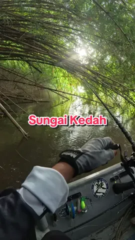 TENGOK SAMPAI HABIS N TUNGGU PART 2 KEHH😆 ..Mesti lah ada manis2 Sg Kedah..trip kalini aina dengan team @fastacklesdnbhd ..of course aina guna rod terbaru Rentaka Defy 5,6&7 ,rod heavy duty yg ringan👍👍 Mak lurve!!  #muakakimancing #fypシ #malaysiaangler🇲🇾 #ladyangler #fyp #castingfishing🎣 