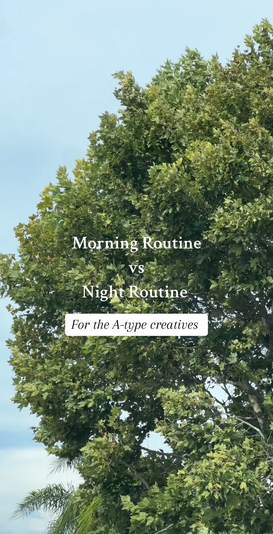 #morningroutineideas 