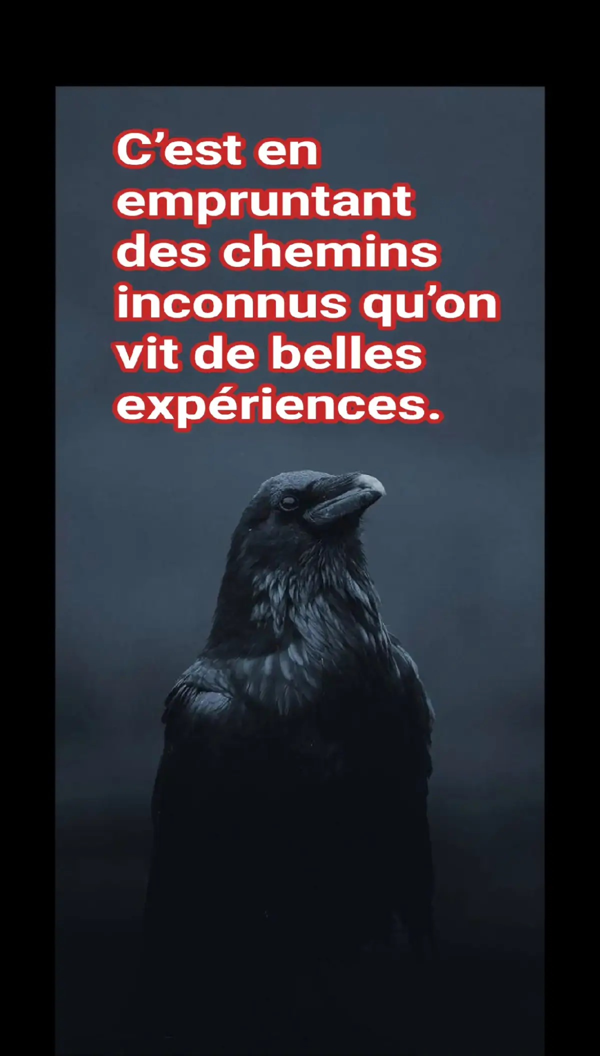 #citation 