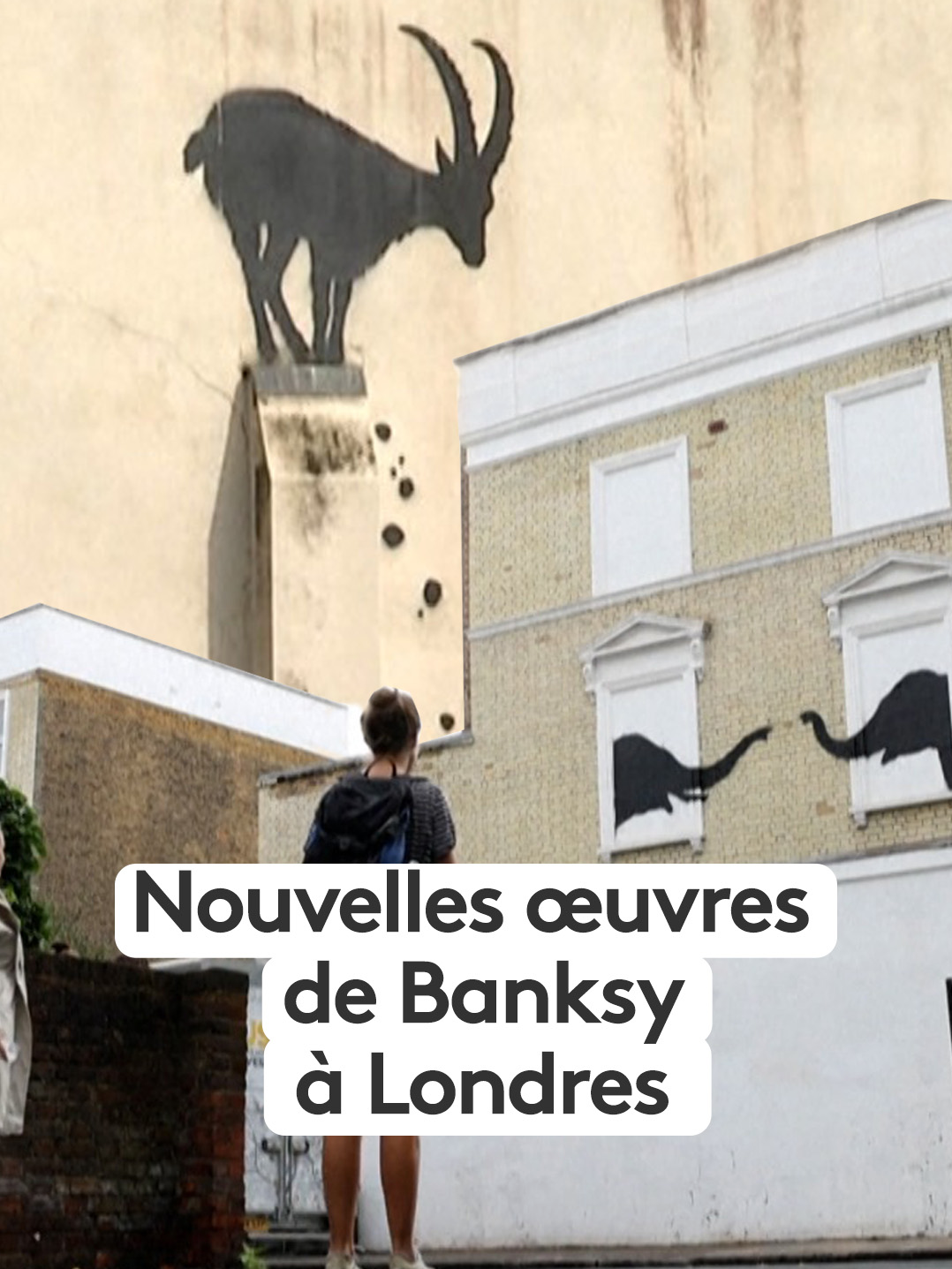 Banksy, le street artiste le plus connu au monde est très actif depuis une semaine. Il vient de dévoiler de nouveaux pochoirs à Londres. Quatre nouvelles oeuvres avec, à chaque fois, des animaux en vedette. Ses fans adorent. #streetart #Banksy #Londres #london