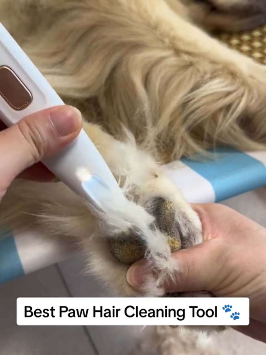 Pet hair trimmer 🐾#doghairremoval #pethairremoval #pawcare #pet #cutedog 