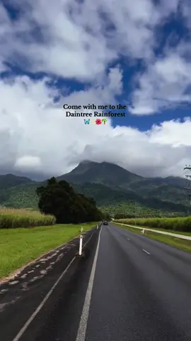 David Attenboroughs favourite place on earth. Where the rainforest meets the Great Barrier Reef ✨ #fyp  #australia #daintreerainforest #daintree #davidattenborough #travelling #vanlifetravel #nature #crocodile #rainforest #scenic #queensland 