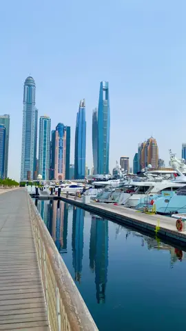 Dubai Marina Harbour 😍 #dubai #yacht #boats #dubaimarina #dubaiharbour #jbr #dubaipalm 