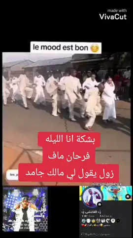 كولمبيا تشاويش مجنون رسمي مشاهير الدوناس سودانين تيكتوك اكسبلور لايك 