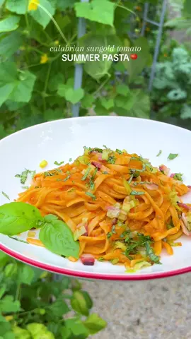 an easy summer pasta dinner with sun gold tomatoes, spicy Calabrian chili peppers, caramelized leeks, and salty parmesan cheese. 🍅 recipe is on my blog !! #summerrecipes #summerpasta #summerdinner #pastarecipe