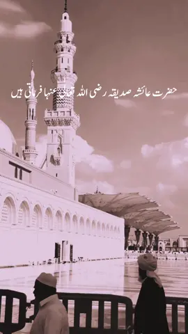 حضرت عائشہ صدیقہ رضی اللہ تعالی عنہافرماتی ہیں🥰🙌🏻❤️‍🩹join Whatsaaf group 👆🏻#foryoupage #viralvideo #islamic_video #foryou #trending #1M #unfrezzmyaccount #grow 