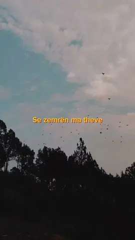 🤍