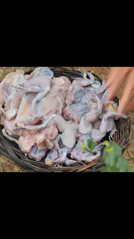Survival In The Rainforest- Catcing Frog & Cooking Food Recipe Eating With Pineapple At Jungle Part 2 #primitive_technology #ypf #foodtiktok #food #foryou  #amazing #survival #eat #ypfッ #kmengprey 