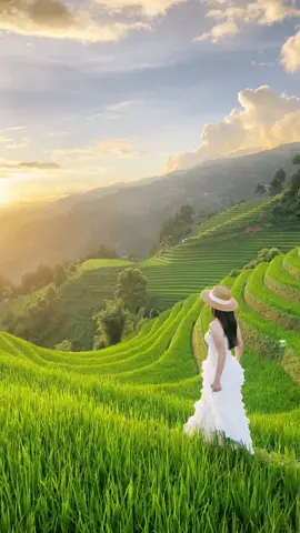 #mualuaxanh #mucangchai mù cang chải thơ mộng.bình yên đẹp mê ạ.🍃🌾