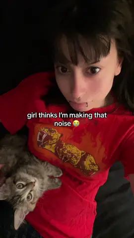 #catsoftiktok #kitten 