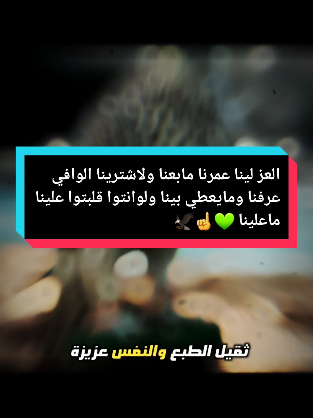 #CapCut #شاربين_المرجلة_كبل_الفطامي أكسبلور لاهنتم ❤ •.* • •.* #🦅❀༼طير ༽♡بلا♡جناح💔ᬽ✿ .# .# .# .# #قطر #m17en____mk  #امدح_الطيب_واسجل_ميجوز😎 #شيلات #صقر  #الاردن #سوريا #السعودية #الأمارات #مصر #عبسي #trending #trend #تصميمي #🦅❀༼طير ༽♡بلا♡جناح💔ᬽ✿#يمان_نجار #مشاهدات #ترند #🦅❀༼طير ༽♡بلا♡جناح💔ᬽ✿@🦅❀༼طير ༽♡بلا♡جناح💔ᬽ✿ 