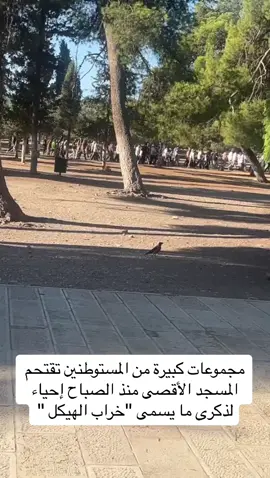 #حنين_الشاعر #غزة_تحت_العدوان #الضفة_الغربية #الاقصى_في_خطر 
