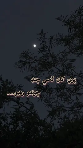 اڃان ننڊ نيڻن کي آئي نہ آ اڃان ياد ڪا موڪلائي نہ آ #ashiqnizamanisindhisong  #sindhi #sindhisong #moon #moonnight #nature #night #moonlight #ip8plus #ashiqnizamani 