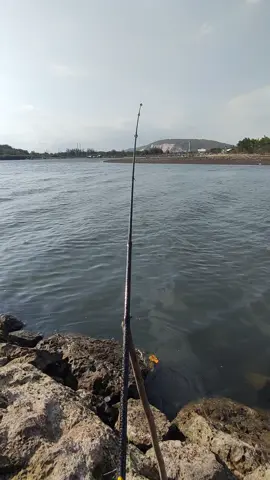 Muara Pantai Pancer, Puger, Jember #mancing #mancingmania #muara #fypシ゚viral #fypシ #fyp #fy #viral 