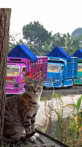 #miniaturtrukoleng #fypシ゚viral #fyp #nemahminiatur 