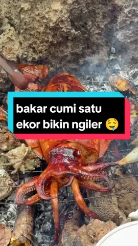 bakar cumi satu ekor bikin ngiler 🤤 #ikanbakar #seafood #virall #fyppp #mukbang #cumibakarviral 